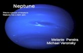 Neptune Melanie Pereira Michael Veronsky This is a picture of Neptune. Neptune has a dark spot