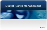 Digital Rights Management. 2  Introduction of DRM  Technology of DRM  International DRM Market  Korean DRM Market  International DRM Companies