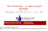 The Forisome: a smart plant protein Amy Shen Washington University in St. Louis, USA Email: aqshen@me.wustl.edu Web site: .