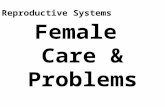 Female Care & Problems Reproductive Systems. Female Care Cleanliness –Vagina is a self-cleansing organ Slight vaginal discharge is normal –Menstruation.