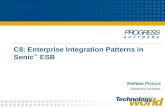 C8: Enterprise Integration Patterns in Sonic ™ ESB Stefano Picozzi Solutions Architect.