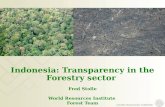 Indonesia: Transparency in the Forestry sector Fred Stolle World Resources Institute Forest Team.