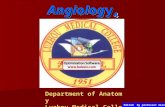 Angiology 4 Department of Anatomy Luzhou Medical College Edited by professor Xiao.