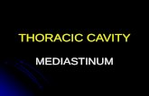 THORACIC CAVITY MEDIASTINUM. Mediastinum Mediastinum = space between lungs. Mediastinum = space between lungs. Superior mediastinum: Superior mediastinum: