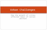 How the growth of cities affected ideas of social welfare Urban Challenges.