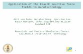 1 Application of the ReaxFF reactive force fields to nanotechnology Adri van Duin, Weiqiao Deng, Hyon-Jee Lee, Kevin Nielson, Jonas Oxgaard and William.