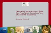 Systematic approaches to Stray Dog Population Control and the planned OIE-Guidelines Bruxelles, October 8.