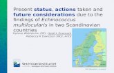 Statusactions future considerations Present status, actions taken and future considerations due to the findings of Echinococcus multilocularis in two Scandinavian.