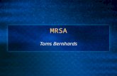 MRSA Toms Bernhards What is MRSA? It’s a strain of Staph infection that is resistant to the group of antbiotics called betalactams ie penicillin Spread.