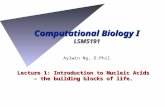 Computational Biology I LSM5191 Lecture 1: Introduction to Nucleic Acids – the building blocks of life. Aylwin Ng, D.Phil.