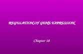 REGULATION OF GENE EXPRESSION Chapter 18. Gene expression A gene that is expressed is “turned on”. It is actively making a product (protein or RNA). Gene.