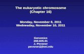 The eukaryotic chromosome (Chapter 16) Monday, November 8, 2011 Wednesday, November 10, 2011 Genomics 260.605.01 J. Pevsner pevsner@jhmi.edu.