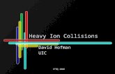 CTEQ 2006 Heavy Ion Collisions David Hofman UIC. CTEQ 2006 Setting the Stage.