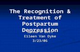 The Recognition & Treatment of Postpartum Depression Johna M Bott Eileen Van Dyke 3/23/06.