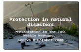 Protection in natural disasters Presentation to the IASC Weekly Meeting, Geneva 8 October 2008 1CHD/PCWG.