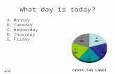 Cross-Tab Label 0/0 What day is today? A. Monday B. Tuesday C. Wednesday D. Thursday E. Friday.