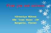 Plum jam and walnuts Viktoriya Mikova SOU “Ivan Vazov”-IV g Bulgaria, Pleven.