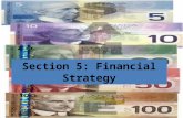 Section 5: Financial Strategy. The Business Plan 1)Executive Summary 2)Market Analysis 3)Resource Analysis 4)Operating Strategy 5)Financial Strategy 6)Contingency.