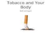 Tobacco and Your Body Kelli Jernigan. Tobacco is a plant that can be smoked in cigarettes, pipes or cigars.