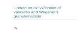 Update on classification of vasculitis and Wegener’s granulomatosis Dr.