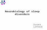 Neurobiology of sleep disorders Zuzana Lattová. An intro to sleep: what is sleep?