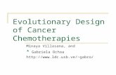 Evolutionary Design of Cancer Chemotherapies Minaya Villasana, and * Gabriela Ochoa gabro