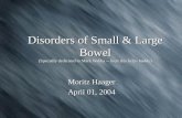 Disorders of Small & Large Bowel (Specially dedicated to Mark Wahba -- hope this helps buddy) Moritz Haager April 01, 2004.