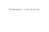 P ulmonary circulation. What is the cardiovascular system? The heart is a double pump heart  arteries  arterioles  veins  venules  capillaries.