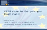 Walter Boltz, Chair of ERGEG Gas Working Group 1 st workshop, Vienna, 3 December 2010 CEER vision for European gas target model.