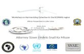 African responses to e-commerce and Cyber Crime 18 th – 21 st March 2014 Sizwe Lindelo Snail Ka Mtuze Director- Snail Attorneys @ Law Inc. Workshop on.