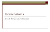 Homeostasis Skin & Temperature Control. Learning Objectives 12.1 Principles of Homeostasis  a) Define homeostasis  (b) Explain the basic principles.