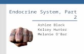 Endocrine System, Part 2 Ashlee Black Kelsey Hunter Melanie O’Bar.