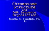 Chromosome Structure and DNA Sequence Organization Timothy G. Standish, Ph. D.