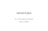 HEMATURIA Dr. Shreedhar Paudel April, 2009. HEMATURIA Microscopic hematuria – more than three erythrocytes per high-power field HEME-POSITIVE --Hemoglobin.