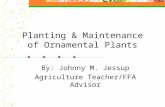 Planting & Maintenance of Ornamental Plants By: Johnny M. Jessup Agriculture Teacher/FFA Advisor.