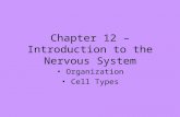 Chapter 12 – Introduction to the Nervous System Organization Cell Types.