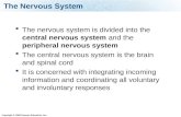 Copyright © 2009 Pearson Education, Inc. The Nervous System  The nervous system is divided into the central nervous system and the peripheral nervous.