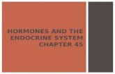 HORMONES AND THE ENDOCRINE SYSTEM CHAPTER 45.  Animal hormones are chemical signals that are secreted into the circulatory system and communicate regulatory.