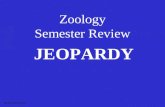 Zoology Semester Review JEOPARDY S2C06 Jeopardy Review.