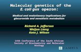 Molecular genetics of the E. coli gus operon: Medical and evolutionary implications for glucuronide and xenobiotic metabolism Richard A. Jefferson Weijun.