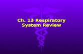 Ch. 13 Respiratory System Review. 1) Normal breathing is called… A.Dyspnea B.Eupnea C.Hypnea D.Hypoxia.
