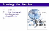 Unit 6  The Internal Environment: Capability  Strategy for Tourism.