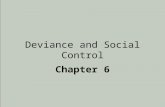 Deviance and Social Control Chapter 6. Chapter Overview I.Introductory “Quiz” II.Background III.Perspective: Symbolic Interactionist IV.Perspective: Functionalist.