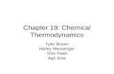 Chapter 19: Chemical Thermodynamics Tyler Brown Hailey Messenger Shiv Patel Agil Jose.