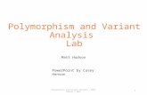 Polymorphism and Variant Analysis Lab Matt Hudson Polymorphism and Variant Analysis | Matt Hudson | 20151 PowerPoint by Casey Hanson.