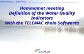 Hammamet meeting - SMART project Hammamet meeting Definition of the Water Quality Indicators With the TELEMAC chain Softwares.