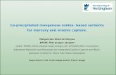 Co-precipitated manganese oxides- based sorbents for mercury and arsenic capture. Malgorzata Wiatros-Motyka EPSRC PhD project student Grant: EPSRC China.