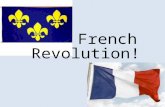 Revolution! French. SHORT TERM causes - Events that happen to trigger an event LONG TERM causes -events that happen over a long period of time.