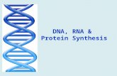 DNA, RNA & Protein Synthesis. What is DNA? The hereditary material in the nucleus of cells that tells the cell when to make proteins and what proteins.