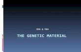 DNA & RNA. Vocabulary you should know…  DNA: (deoxyribonucleic acid) the material that contains the information that determines inherited characteristics.